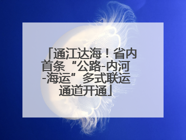 通江达海！省内首条“公路-内河-海运”多式联运通道开通