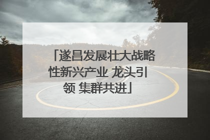 遂昌发展壮大战略性新兴产业 龙头引领 集群共进