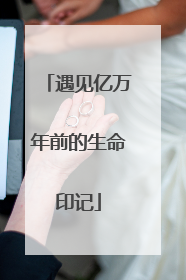 遇见亿万年前的生命印记