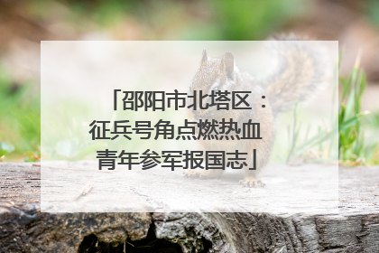 邵阳市北塔区：征兵号角点燃热血青年参军报国志