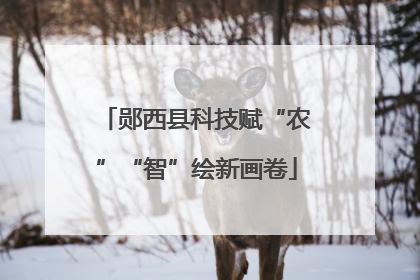 郧西县科技赋“农”“智”绘新画卷