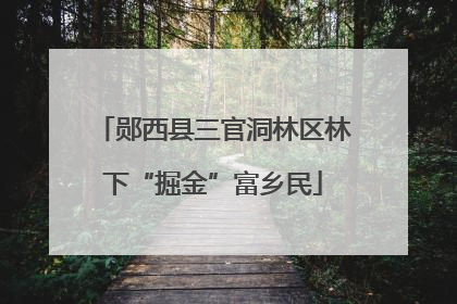 郧西县三官洞林区林下“掘金”富乡民