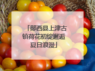 郧西县上津古镇荷花初绽邂逅夏日浪漫