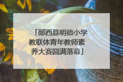 郧西县明德小学教联体青年教师素养大赛圆满落幕