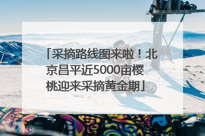 采摘路线图来啦！北京昌平近5000亩樱桃迎来采摘黄金期