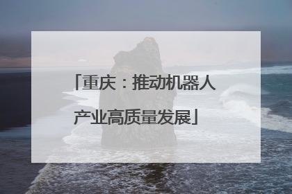 重庆：推动机器人产业高质量发展