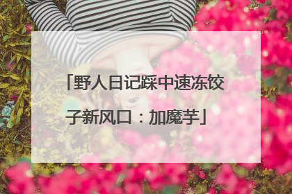 野人日记踩中速冻饺子新风口：加魔芋