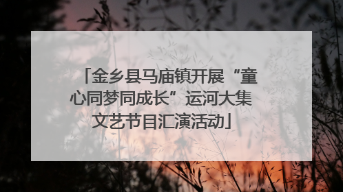 金乡县马庙镇开展“童心同梦同成长”运河大集文艺节目汇演活动