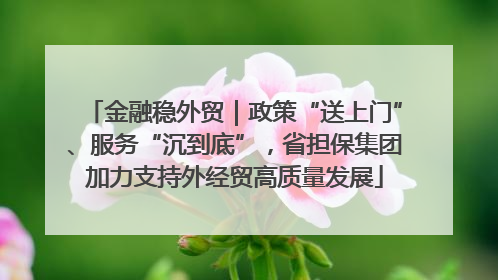 金融稳外贸｜政策“送上门”、服务“沉到底”，省担保集团加力支持外经贸高质量发展