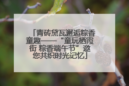 青砖黛瓦邂逅粽香童趣——“童玩栖霞街 粽香端午节”邀您共织时光记忆