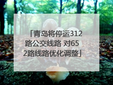 青岛将停运312路公交线路 对652路线路优化调整
