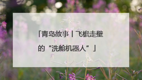 青岛故事丨飞檐走壁的“洗舱机器人”