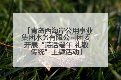 青岛西海岸公用事业集团水务有限公司团委开展“诗话端午 礼敬传统”主题活动