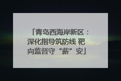 青岛西海岸新区：深化指导筑防线 靶向监督守“薪”安