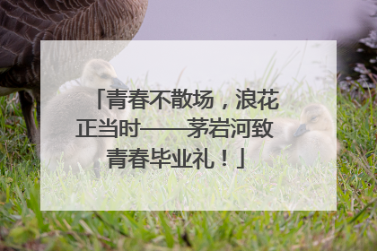 青春不散场，浪花正当时——茅岩河致青春毕业礼！