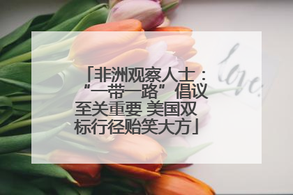 非洲观察人士：“一带一路”倡议至关重要 美国双标行径贻笑大方