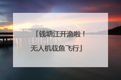 钱塘江开渔啦！无人机载鱼飞行