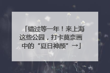 错过等一年！来上海这些公园，打卡莫奈画中的“夏日神颜”→
