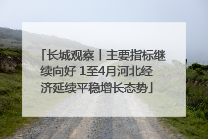 长城观察丨主要指标继续向好 1至4月河北经济延续平稳增长态势