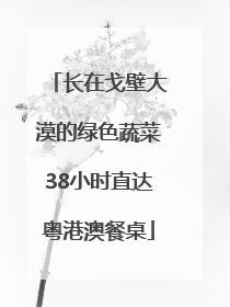 长在戈壁大漠的绿色蔬菜38小时直达粤港澳餐桌