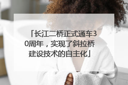 长江二桥正式通车30周年，实现了斜拉桥建设技术的自主化