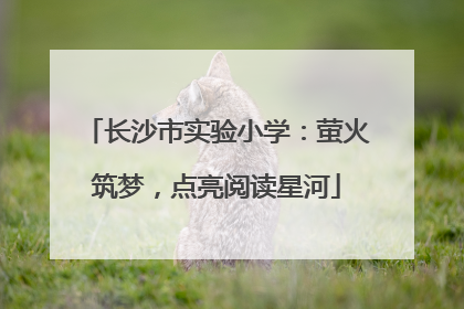 长沙市实验小学：萤火筑梦，点亮阅读星河