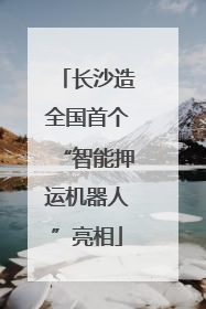 长沙造全国首个“智能押运机器人”亮相