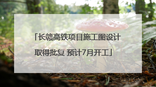 长赣高铁项目施工图设计取得批复 预计7月开工