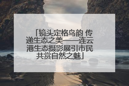 镜头定格鸟韵 传递生态之美——连云港生态摄影展引市民共赏自然之魅