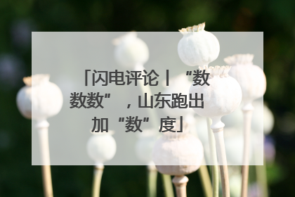 闪电评论丨“数数数”，山东跑出加“数”度