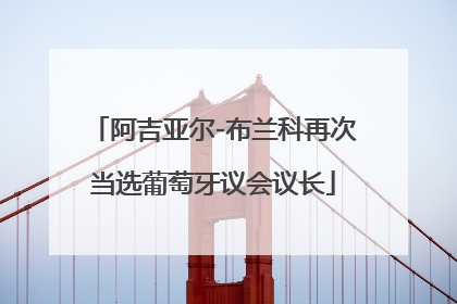 阿吉亚尔-布兰科再次当选葡萄牙议会议长