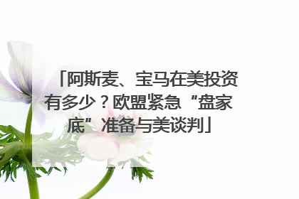 阿斯麦、宝马在美投资有多少？欧盟紧急“盘家底”准备与美谈判