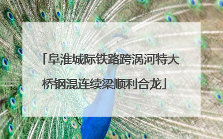 阜淮城际铁路跨涡河特大桥钢混连续梁顺利合龙