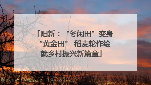 阳新：“冬闲田”变身“黄金田” 稻麦轮作绘就乡村振兴新篇章
