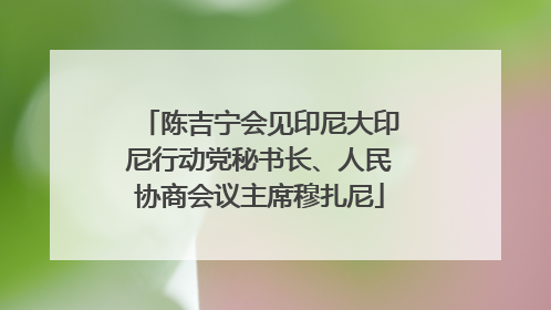 陈吉宁会见印尼大印尼行动党秘书长、人民协商会议主席穆扎尼