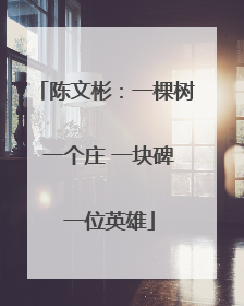 陈文彬：一棵树 一个庄 一块碑 一位英雄