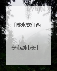 陈永钦任西宁市副市长