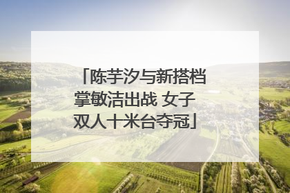陈芋汐与新搭档掌敏洁出战 女子双人十米台夺冠
