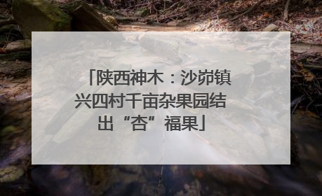 陕西神木：沙峁镇兴四村千亩杂果园结出“杏”福果