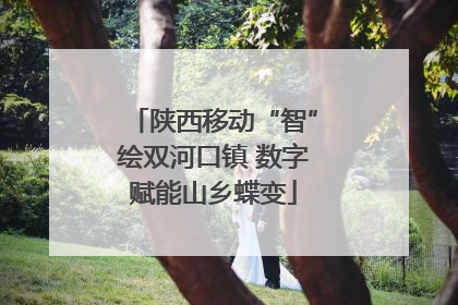 陕西移动“智”绘双河口镇 数字赋能山乡蝶变