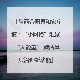 陕西合阳县和家庄镇：“小网格”汇聚“大能量” 激活基层治理新动能