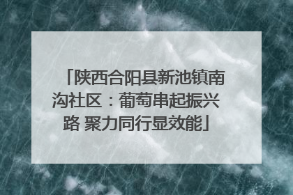 陕西合阳县新池镇南沟社区：葡萄串起振兴路 聚力同行显效能