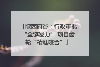陕西府谷：行政审批“全链发力” 项目齿轮“精准咬合”