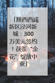 陕西西咸新区泾河新城：300万美元签约！茯茶“金花”绽放中亚