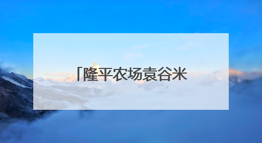 隆平农场袁谷米乳首发亮相中非经贸博览会“味道湖南”美食市集