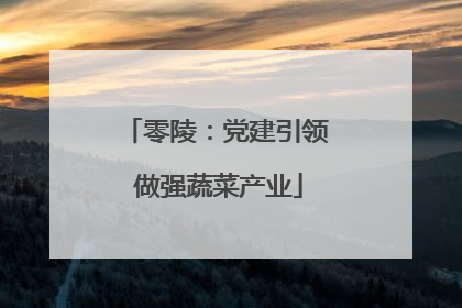 零陵：党建引领 做强蔬菜产业
