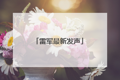 雷军最新发声