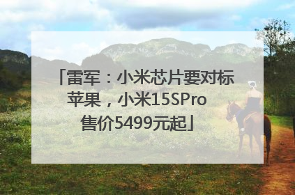 雷军：小米芯片要对标苹果，小米15SPro售价5499元起