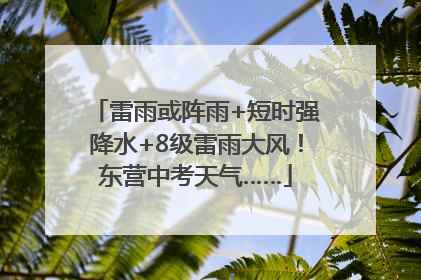 雷雨或阵雨+短时强降水+8级雷雨大风！东营中考天气……