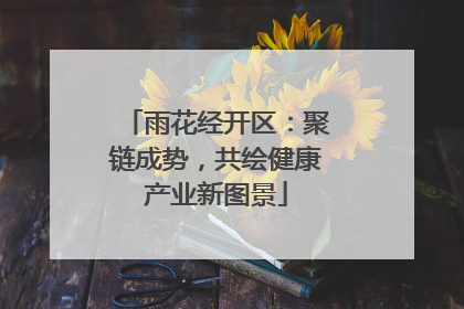 雨花经开区：聚链成势，共绘健康产业新图景